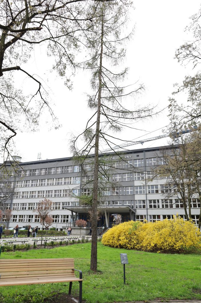 Modrzew europejski - <i>Larix decidua Mill.</i>